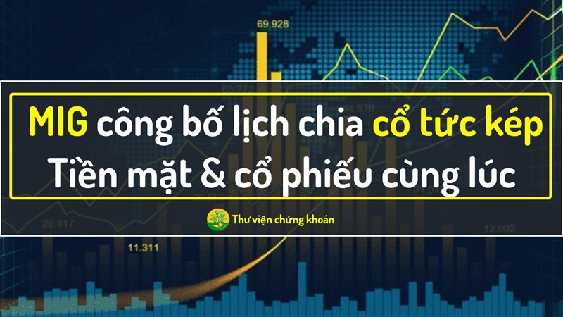 MIG chia cổ tức 2025: Thông tin chi tiết - Tác động đến nhà đầu tư