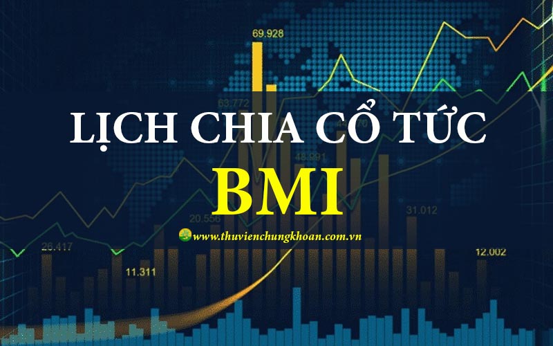 BMI chia cổ tức 2025 với tỷ lệ 13,5% bằng cổ phiếu