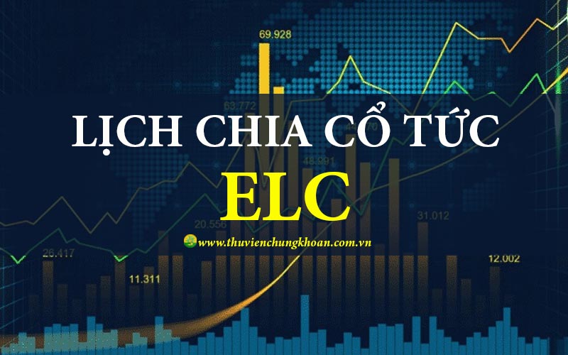 ELC chia cổ tức 2025 với tỷ lệ 5% bằng cổ phiếu