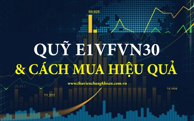 Quỹ E1VFVN30 là gì? Cách mua quỹ E1VFVN30 hiệu quả