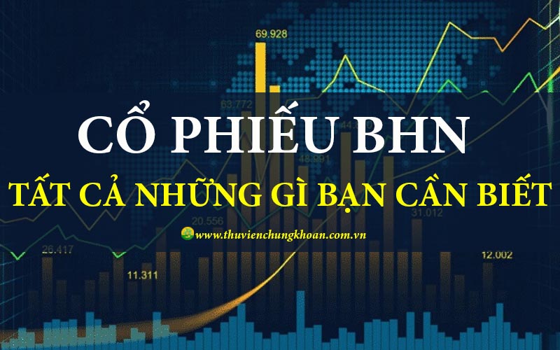 Cổ phiếu BHN – Tất cả những gì bạn cần phải biết