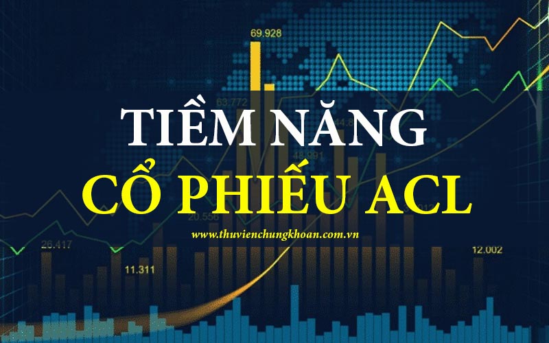 Tiềm năng cổ phiếu ACL – Đánh giá cơ hội và rủi ro đầu tư
